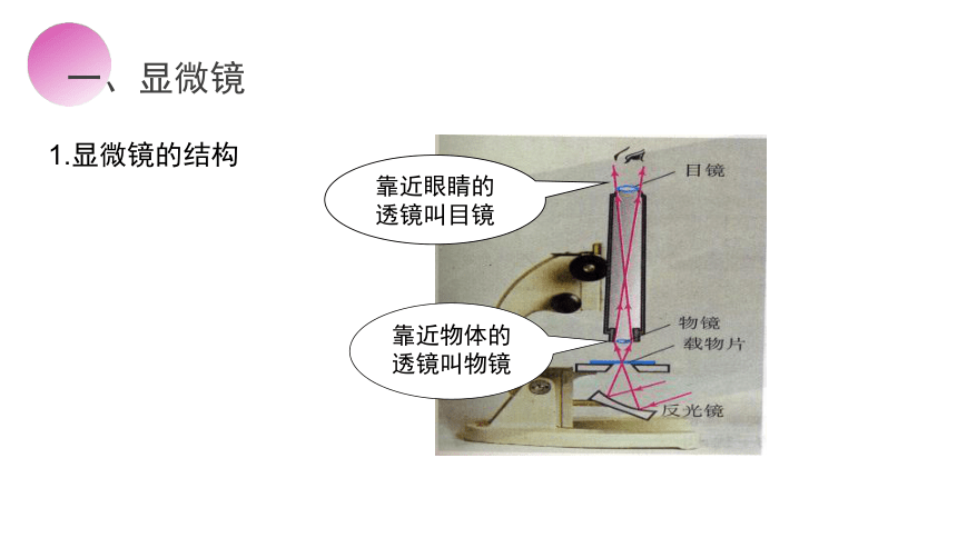 人教版物理八年级上册课件：5.5 显微镜和望远镜（共38张PPT）