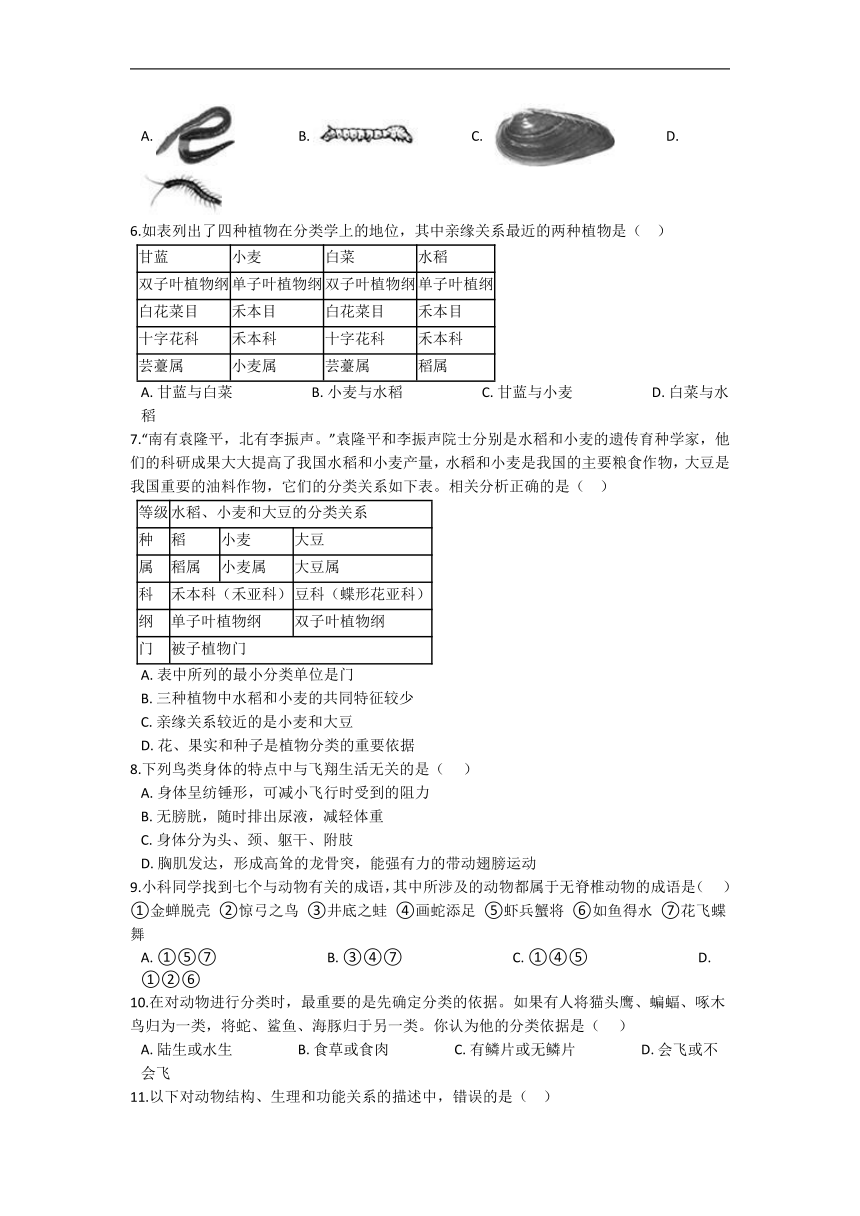 2.4 常见的动物 同步练习（含解析）