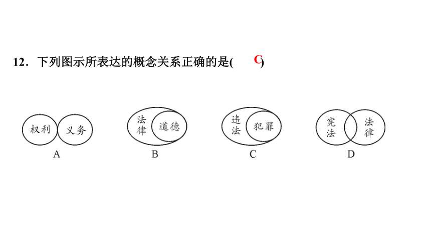 专题三 理解权利和义务 练习课件-2021届中考历史与社会一轮复习（金华专版）（34张PPT）