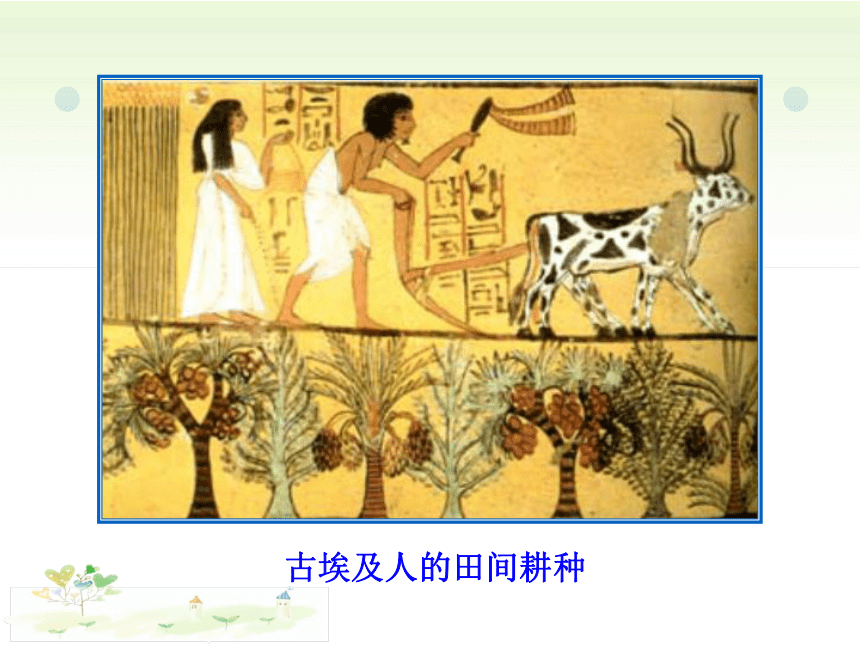 第1课 古代埃及  课件（33张PPT）