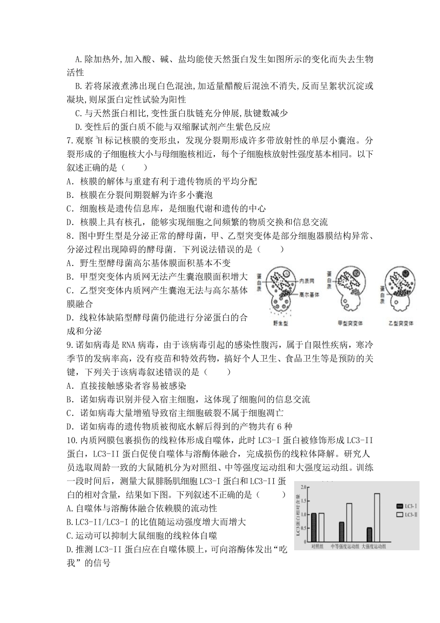 福建省武平县高中2022届高三上学期第一次月考生物试题 （Word版含答案）