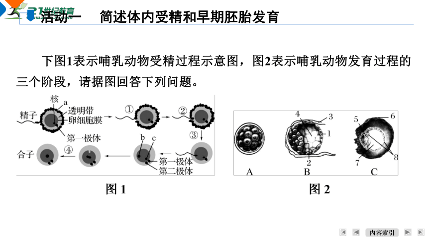 【一轮复习】第3单元细胞的生命历程第9课时　胚胎工程课件(共30张PPT)