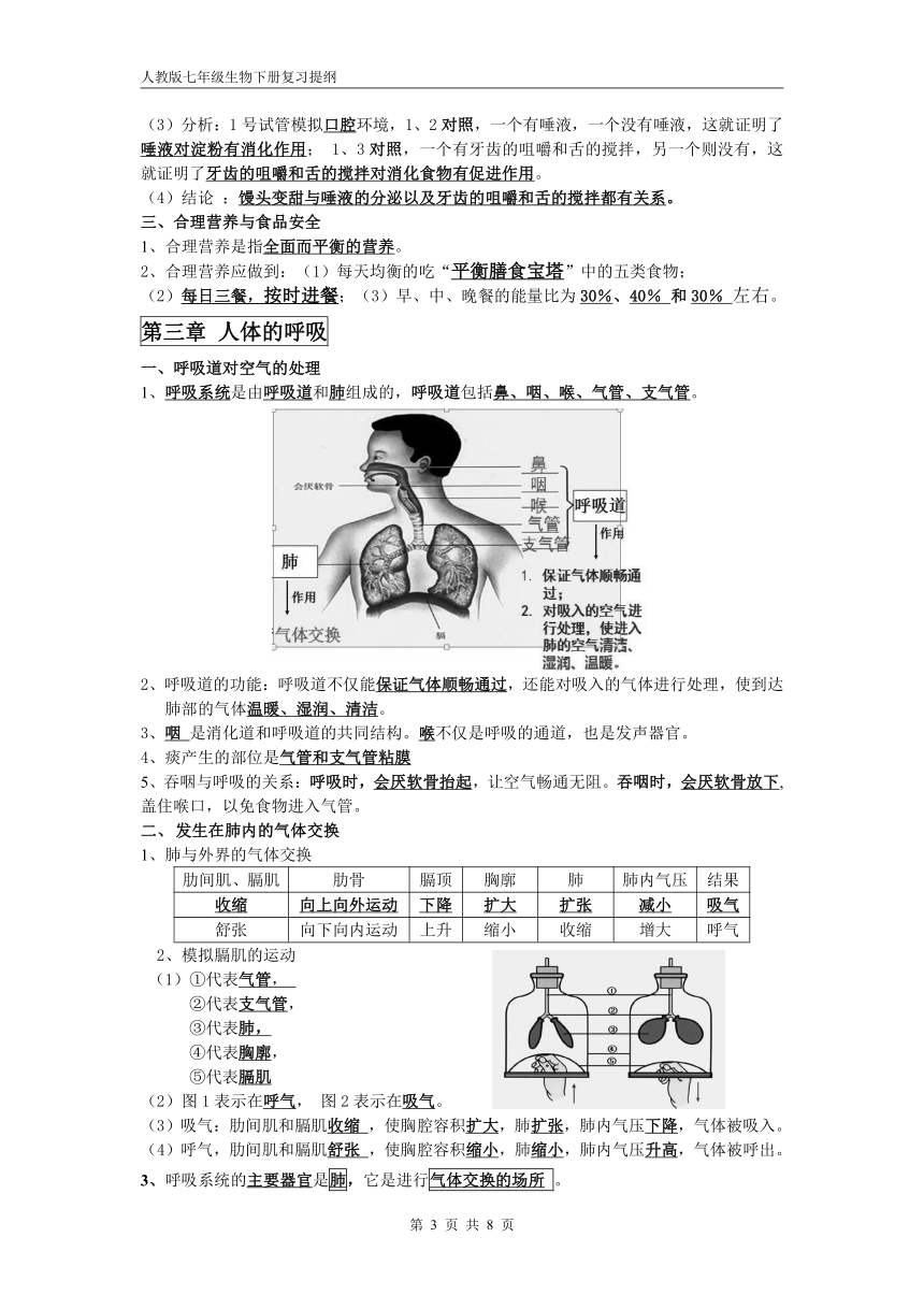 2021年人教版七年级下册生物复习提纲（总结）