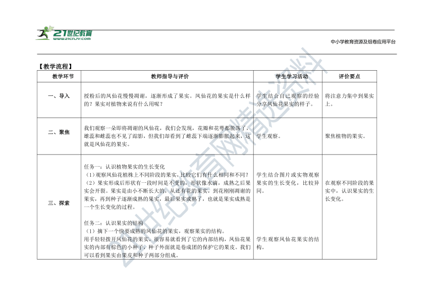 1.6《果实和种子》教案