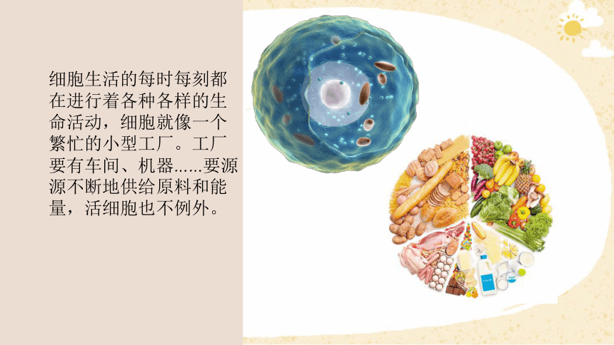 2.1.4细胞的生活课件 (共21张PPT)人教版生物七年级上册