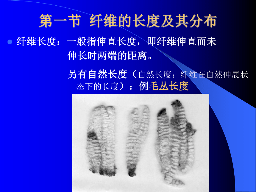 第三章 纤维的形态及表征 课件(共59张PPT)-《服装材料》同步教学（中国纺织出版社）