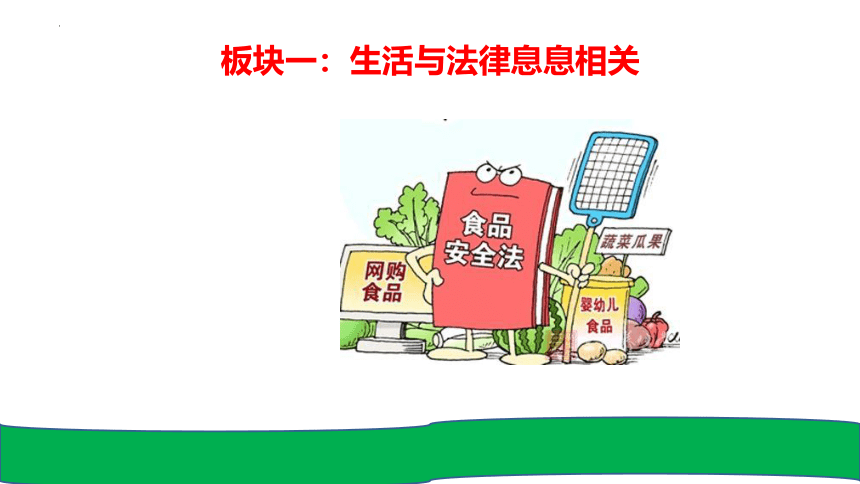 9.1 生活需要法律 课件(共21张PPT)-2023-2024学年统编版道德与法治七年级下册