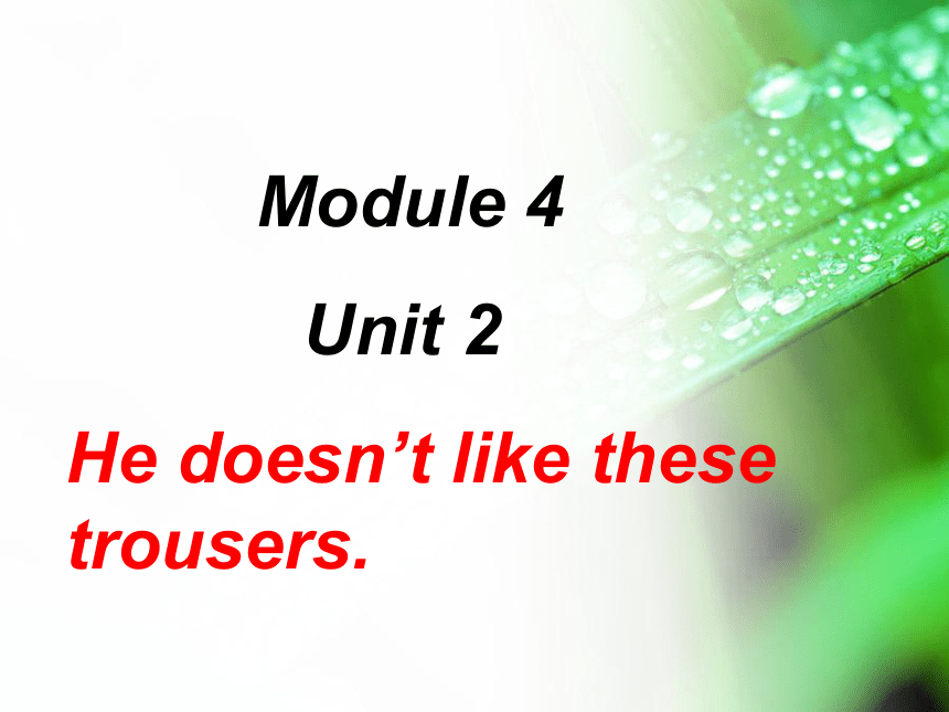 Module 4《Unit 2 He doesn’t like these trousers》课件（28张PPT）