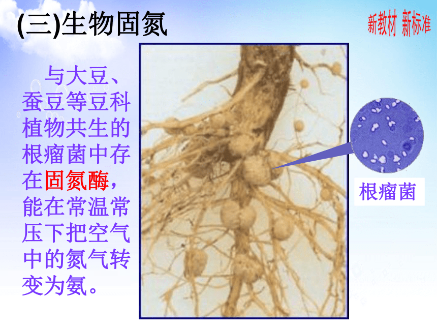 7.1 氮的固定 课件2020-2021学年苏教版（2019）高一化学必修第二册（37张PPT）