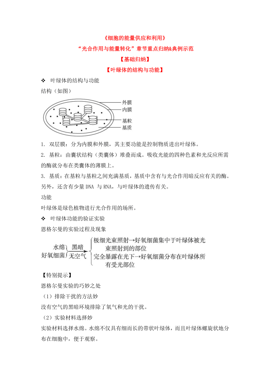 人教版（2019）必修一-《细胞的能量供应和利用》-“光合作用与能量转化”章节重点归纳&典例示范学案（含答案）