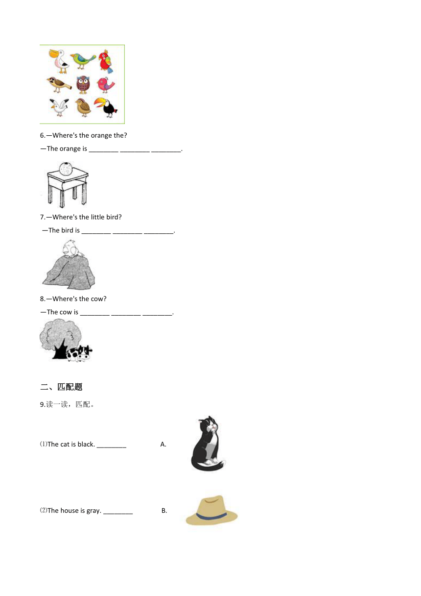 外研版（一年级起点）一年级下册英语试题Module3练习（含答案）