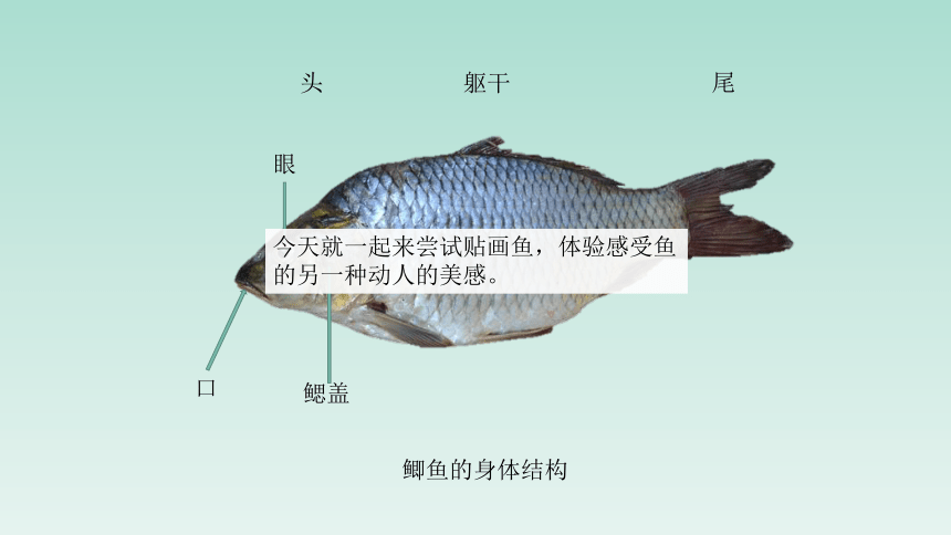 河北美术版小学二年级美术上册《童心童画》名师课件(共21张PPT)