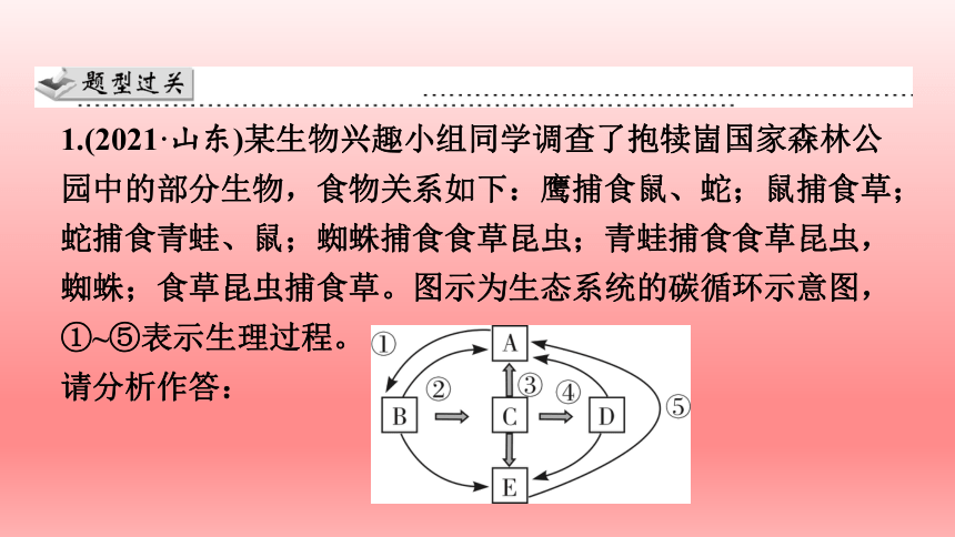 2023年人教版七年级生物上册复习课件 (共22张PPT)读图理解