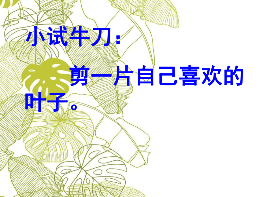 苏少版二年级美术下册 第13课 会变的花、树、叶 课件(共55张PPT)