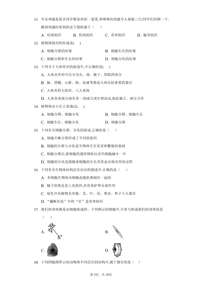 2022-2023学年人教版生物七年级上册单元强化练习第二单元生物体的结构层次(word版含答案）