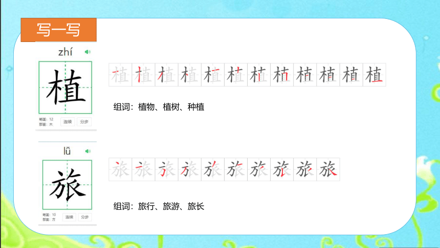 3植物妈妈有办法 课件 (共21张PPT)