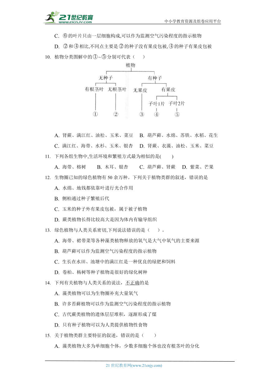 苏教版初中生物八年级上册14.1五彩缤纷的植物世界同步练习（含答案解析）