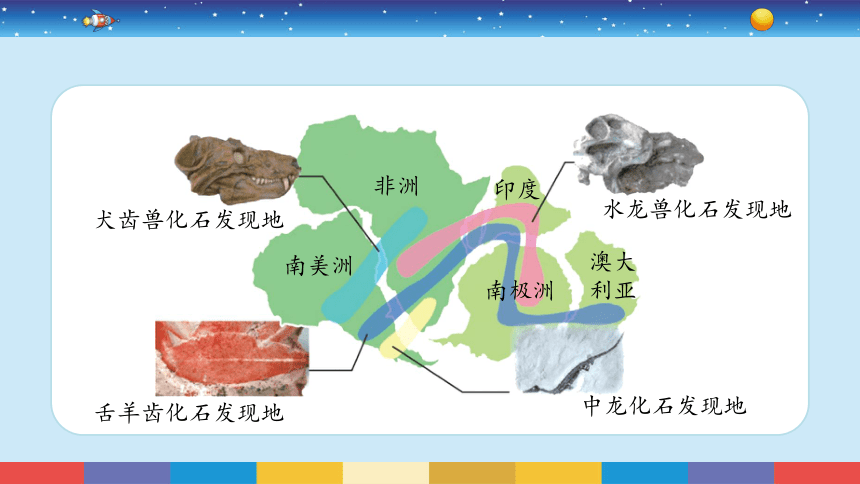 苏教版（2017秋）六年级上册科学10用化石做证据 （课件17ppt）