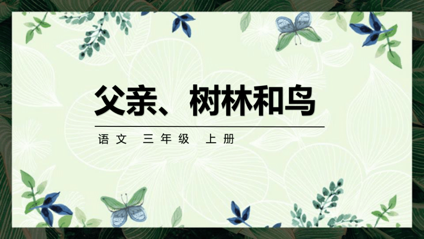 23父亲、树林和鸟 课件 (共22张PPT)