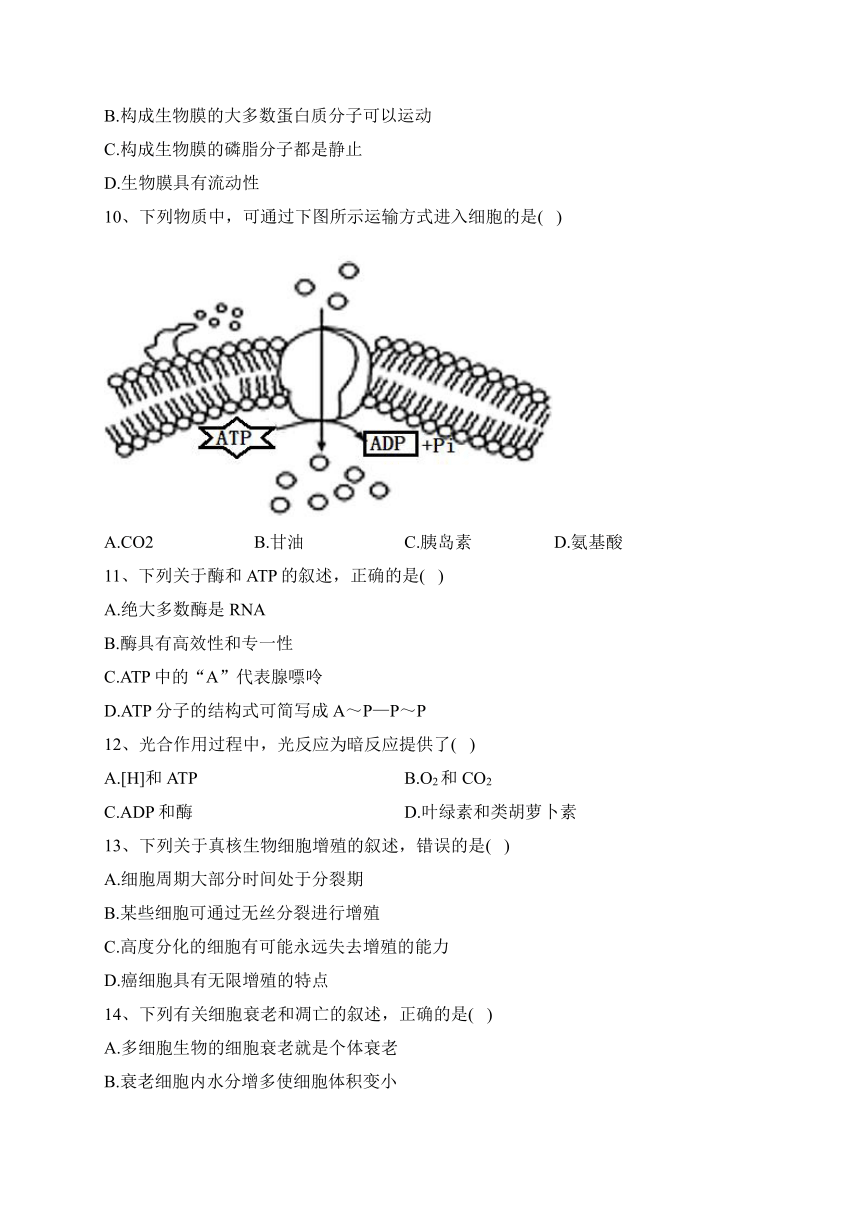 新疆2021年7月普通高中学业水平考试生物试卷（Word版含解析）