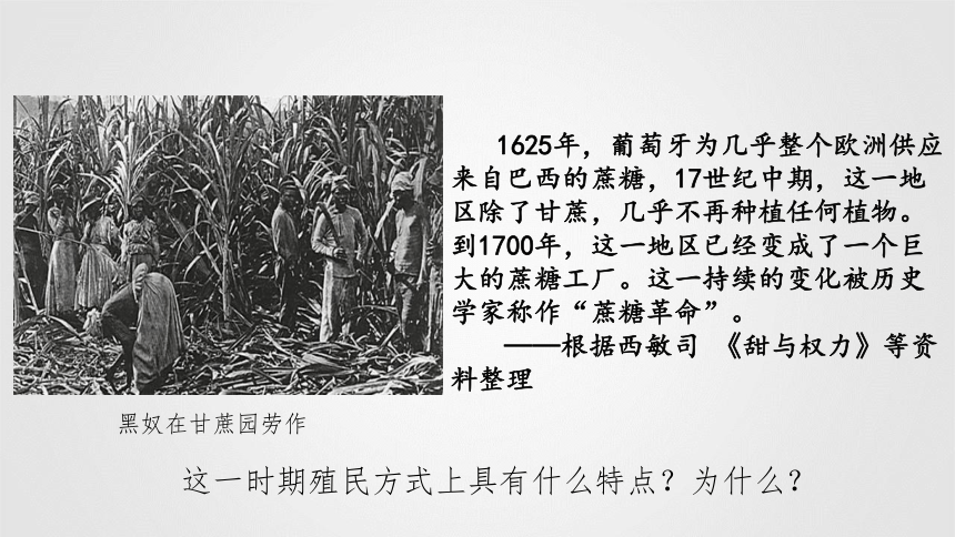 2020-2021学年统编版必修中外历史纲要下册第12课 资本主义世界殖民体系的形成 课件（带内嵌视频，共23张PPT）