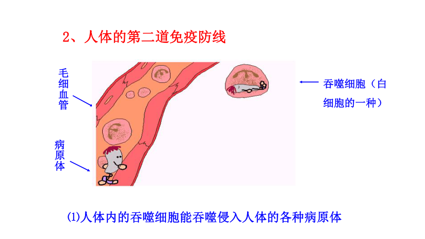 第二十五章 疾病与免疫第三节 免疫  课件（共22张PPT）