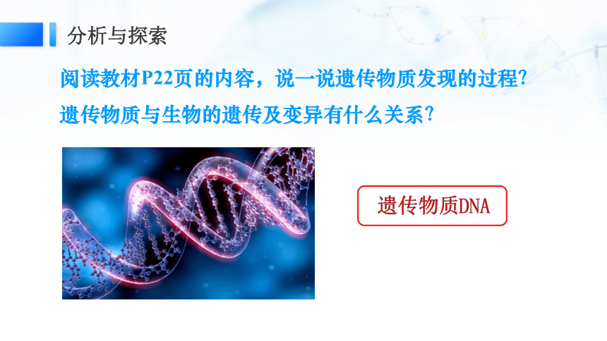 2.7《寻找遗传与变异的秘密》课件（23页PPT）