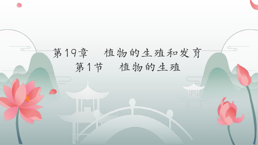 2022-2023学年苏科版生物八年级上册 7.19.1  植物的生殖  课件 (共26张PPT)