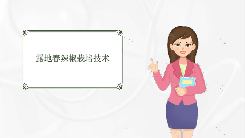 5.3露地春辣椒栽培技术 课件(共16张PPT)-《蔬菜生产技术》同步教学（湖南科技出版社）