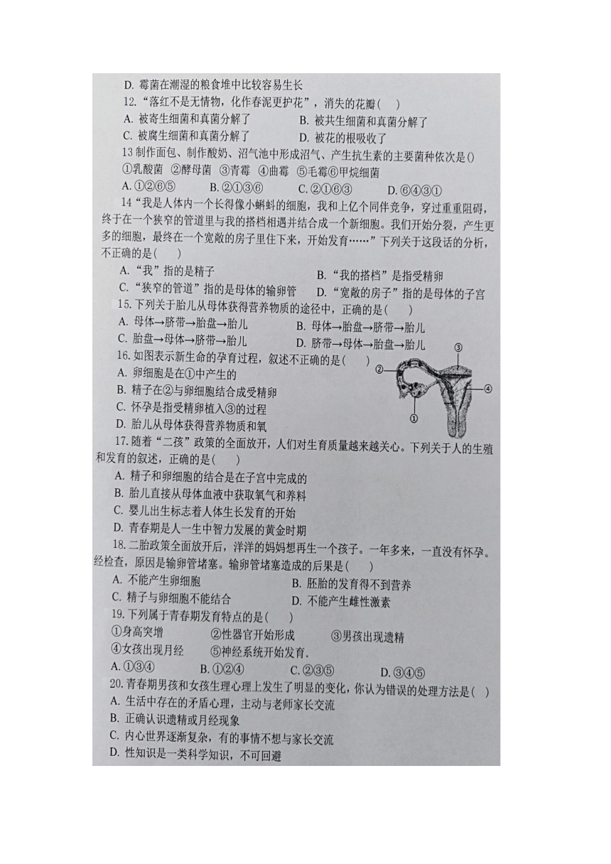 湖北省恩施龙凤初中2021-2022学年上学期八年级第一阶段检测生物试题（含答案）