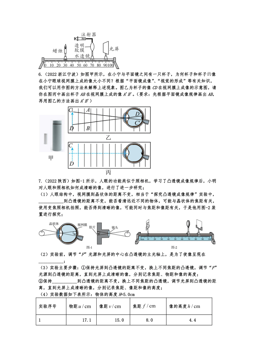 2023年中考物理考点精准训练：眼睛和眼镜（含答案）