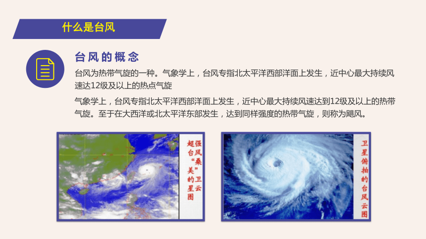 自然灾害安全知识教育 主题班会：防台风安全教育培训 课件（26ppt）