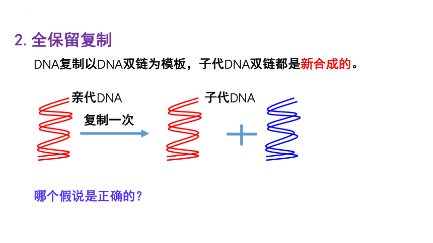 生物人教版（2019）必修2 3.3DNA的复制（共18张ppt2个视频）