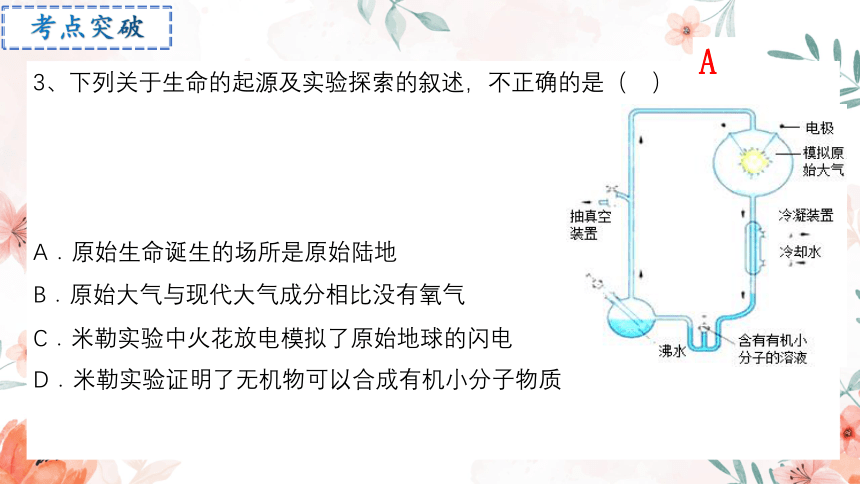 专题13 生命起源和生物进化2023年中考生物专题复习课件(共27张PPT)