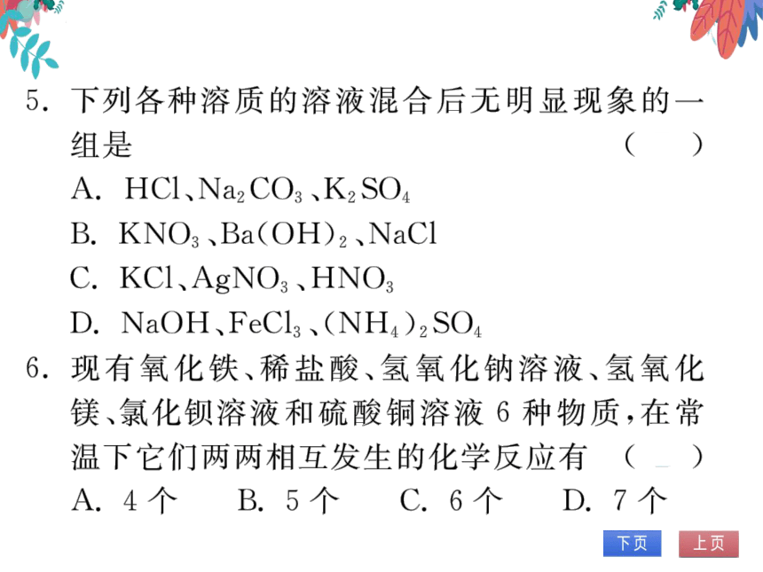 【人教版】化学九年级下册-第十一单元 专题四 物质的共存 (习题课件)