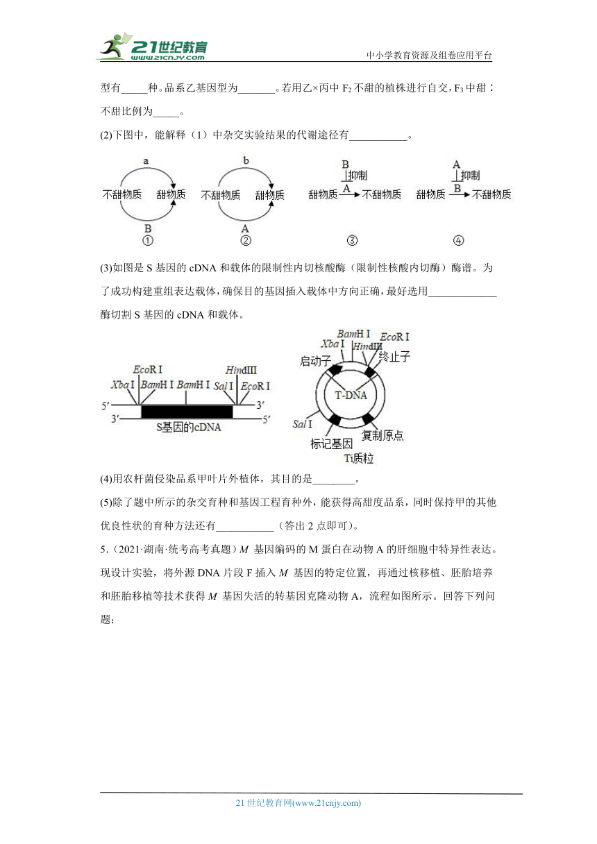 五年2018-2022高考生物真题按知识点分类汇编92-生物技术与工程-基因工程的操作程序综合题（含解析）