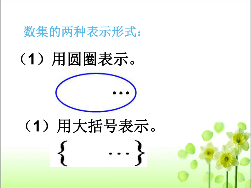 人教版初中数学 七年级上册 第一单元 1.2.1 有理数 课件（共33张）