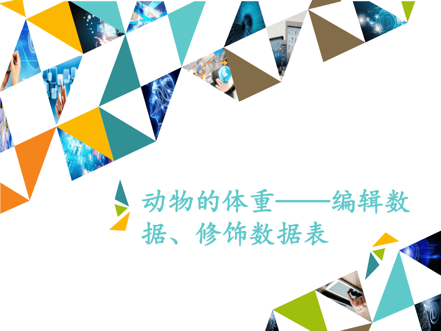 清华大学版信息技术七下 2.5 动物的体重——编辑数据、修饰数据表   课件 (共14张PPT)