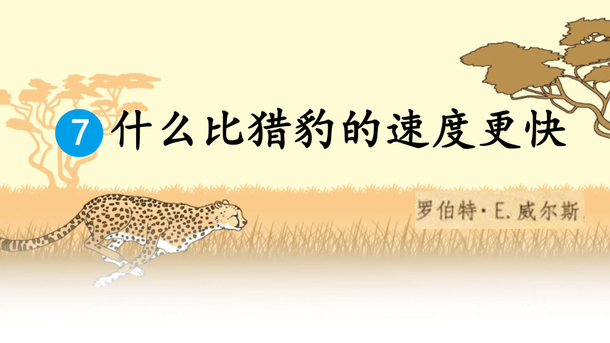 7《什么比猎豹的速度更快》课件(共19张PPT)