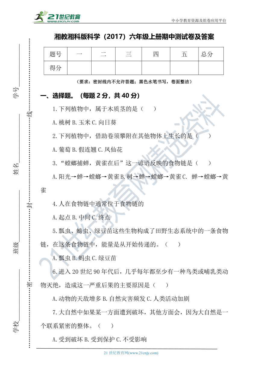 湘教湘科版科学（2017）六年级上册期中测试卷及答案