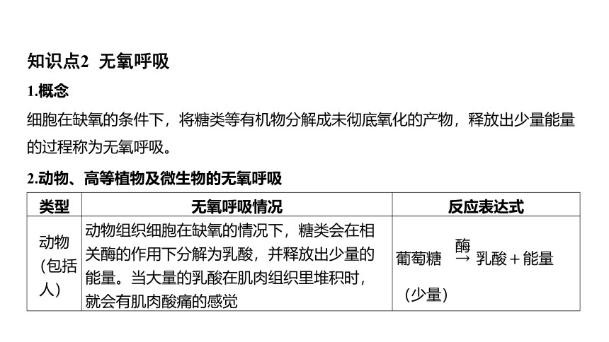 4.4能量的获得（课件 18张PPT)