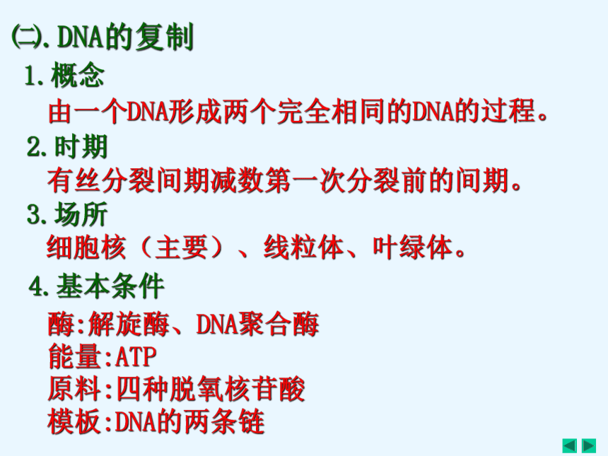 人教高中生物选修一5.2多聚酶链式反应扩增DNA片断 课件（27张ppt）