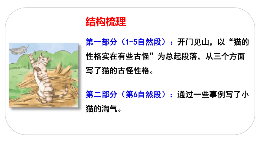 13 猫    课件（2课时  34张ppt）