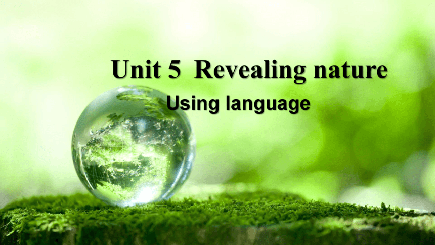 外研版（2019）选择性必修第一册 Unit5 Revealing nature Using language 公开课课件(31张ppt)