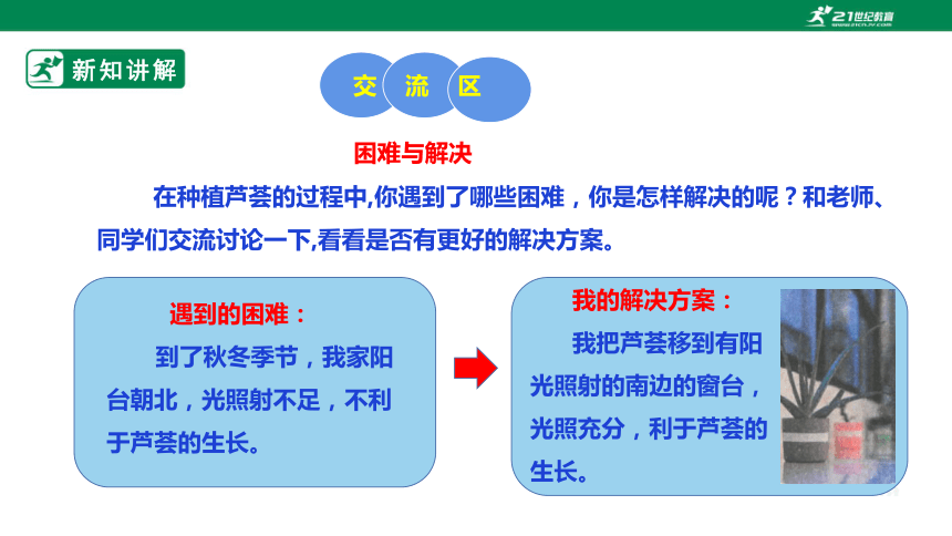 【粤教版】二年级全册《劳动与技术》第四单元 《劳动故事》课件