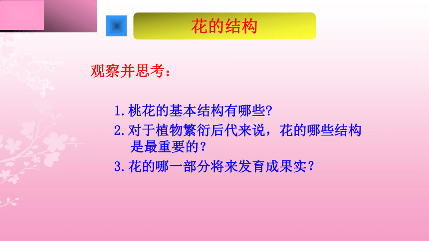 2021--2022学年人教版生物七年级上册3.2.3开花和结果 课件（20张PPT）