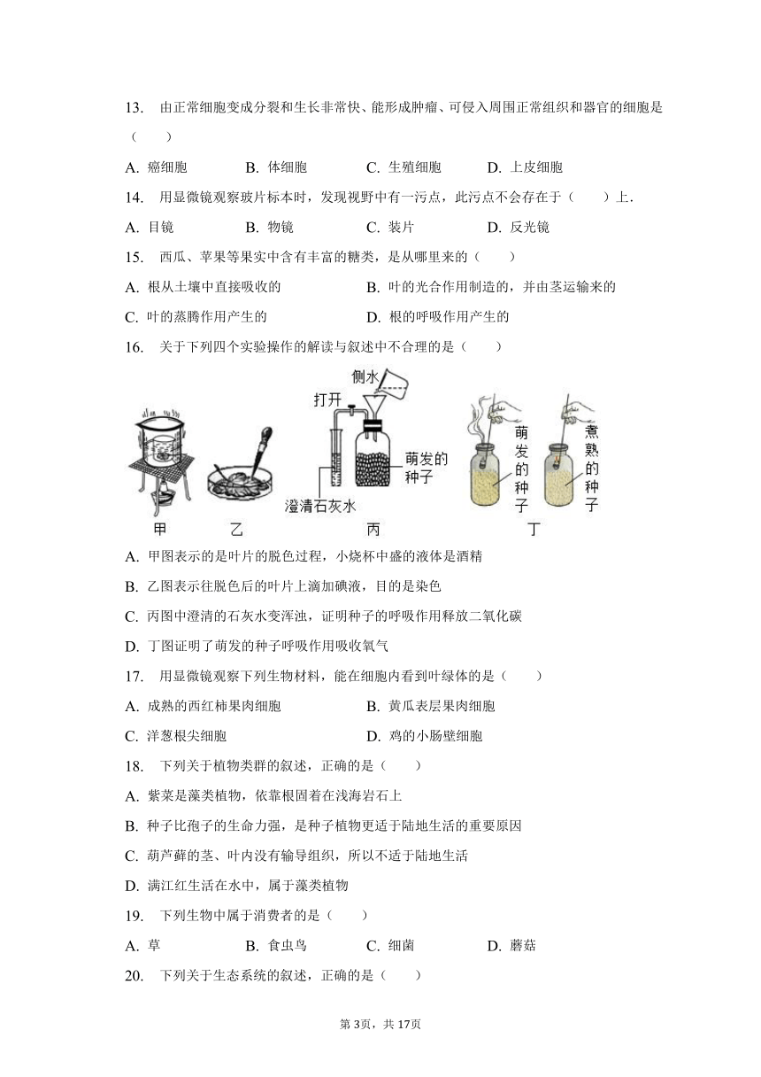 2022-2023学年河南省许昌市东城区新时代精英学校八年级（下）第一次学情调研试卷（含解析）