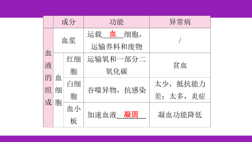 2023浙江中考一轮复习 第7课时 人体的物质和能量转换（二）（课件 60张ppt）