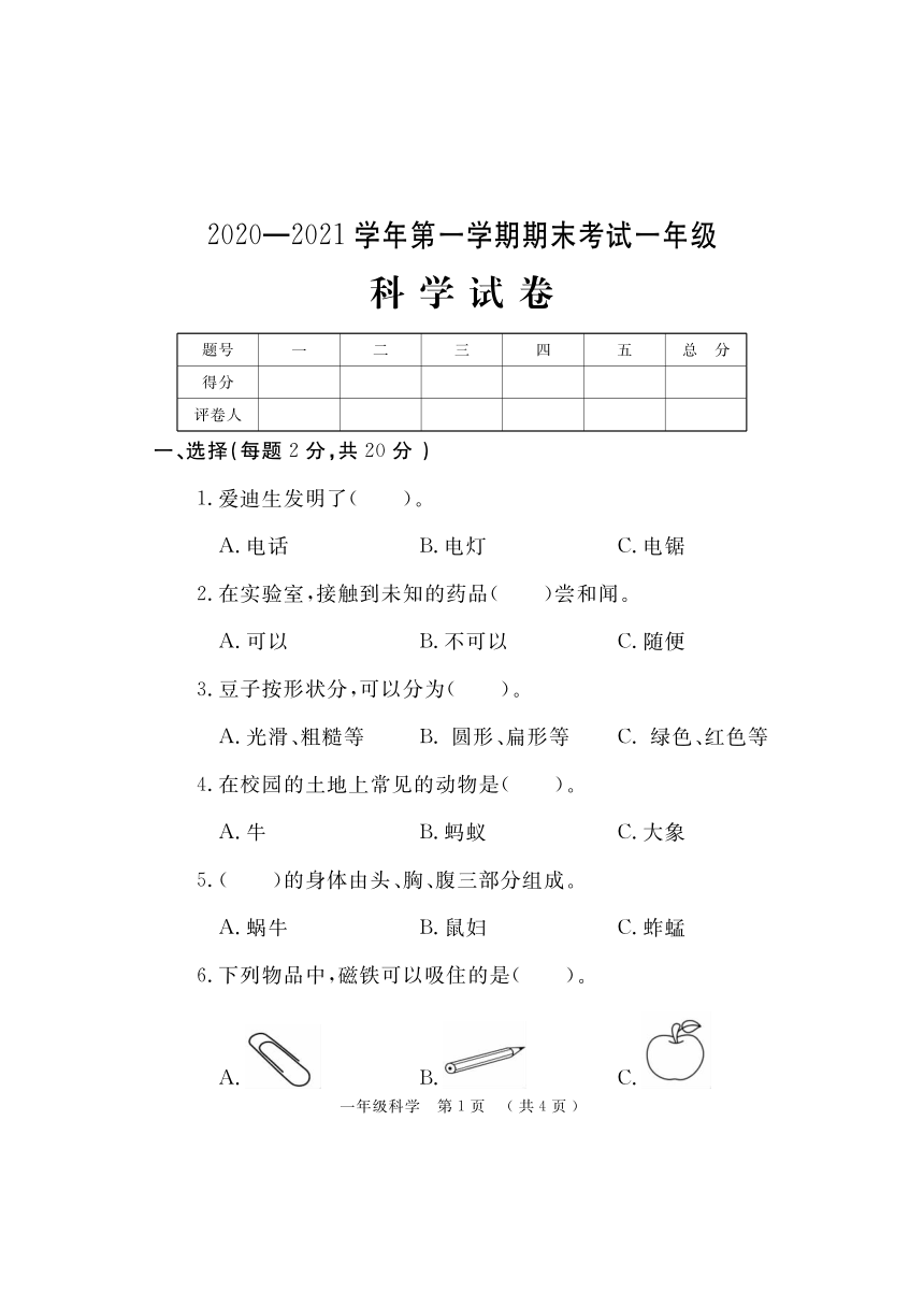 河南省洛阳市嵩县科学一年级上学期期末试题 （大象版，PDF版，含答案）