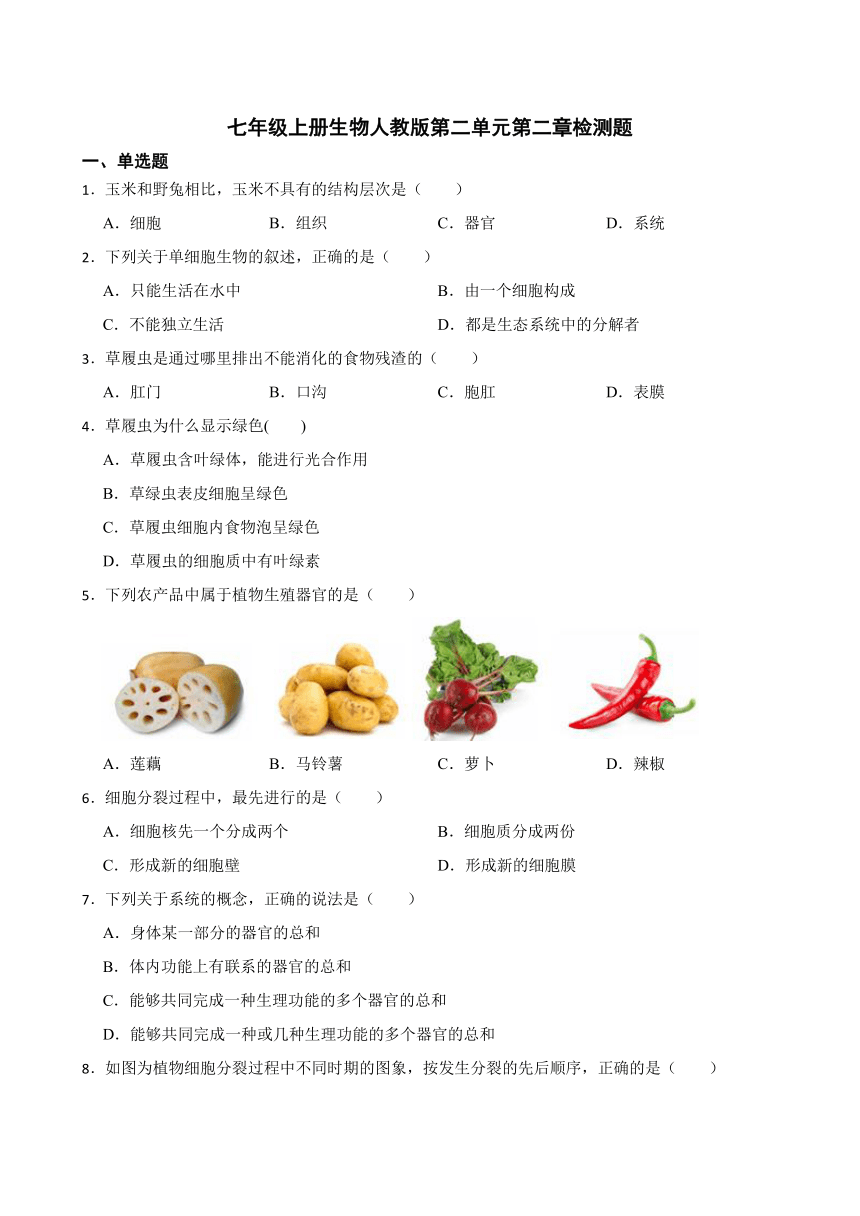 七年级上册生物人教版第二单元第二章检测题（word版 含答案）